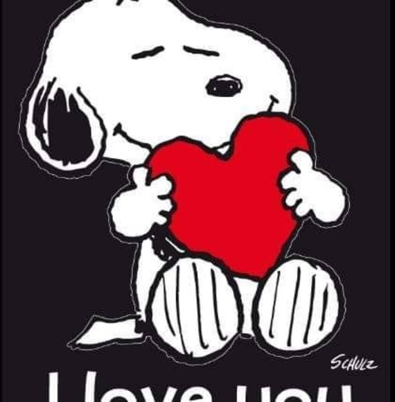 Meet your Posher, Sandy - Picture 1 of 1